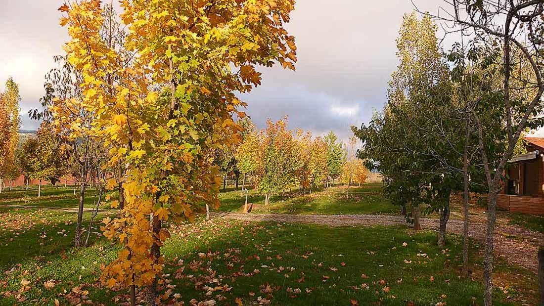 Camping Ain Jaca Dış mekan fotoğraf