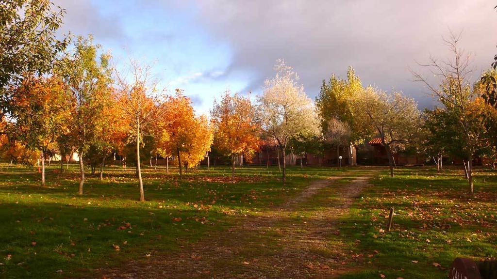 Camping Ain Jaca Dış mekan fotoğraf